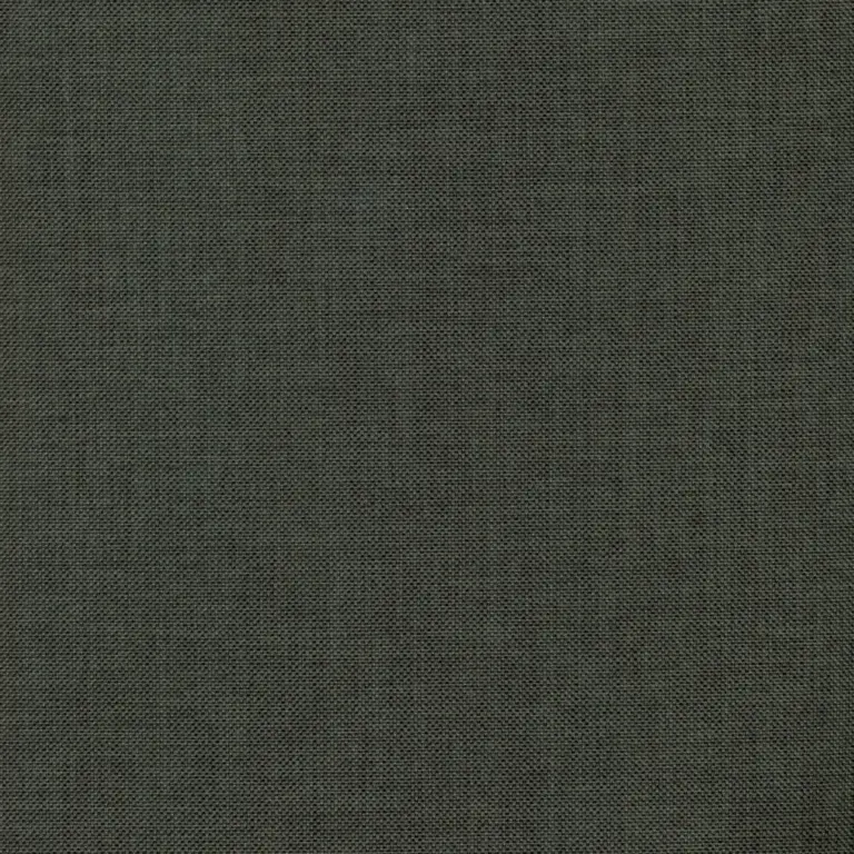 Pewter 801