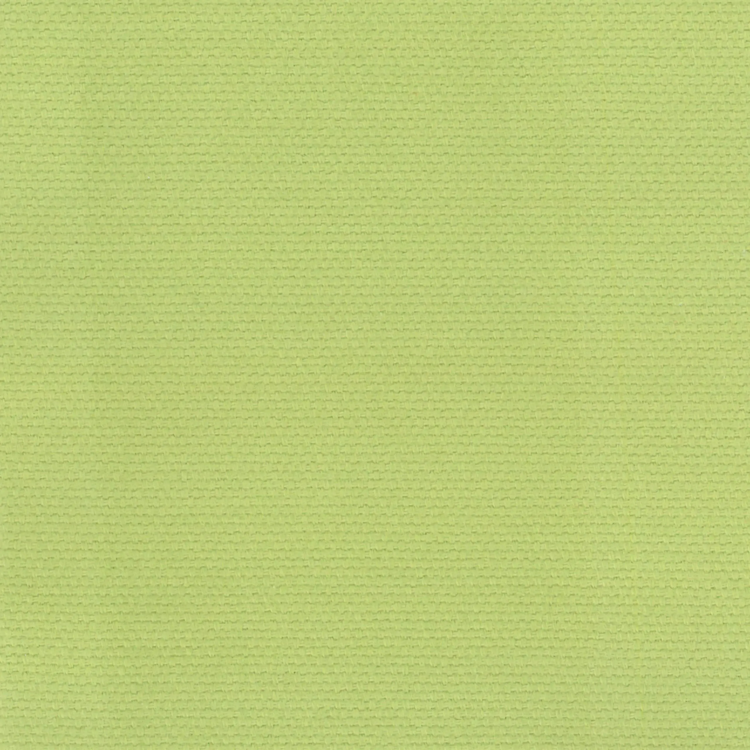 Seafoam 26 | Ringo