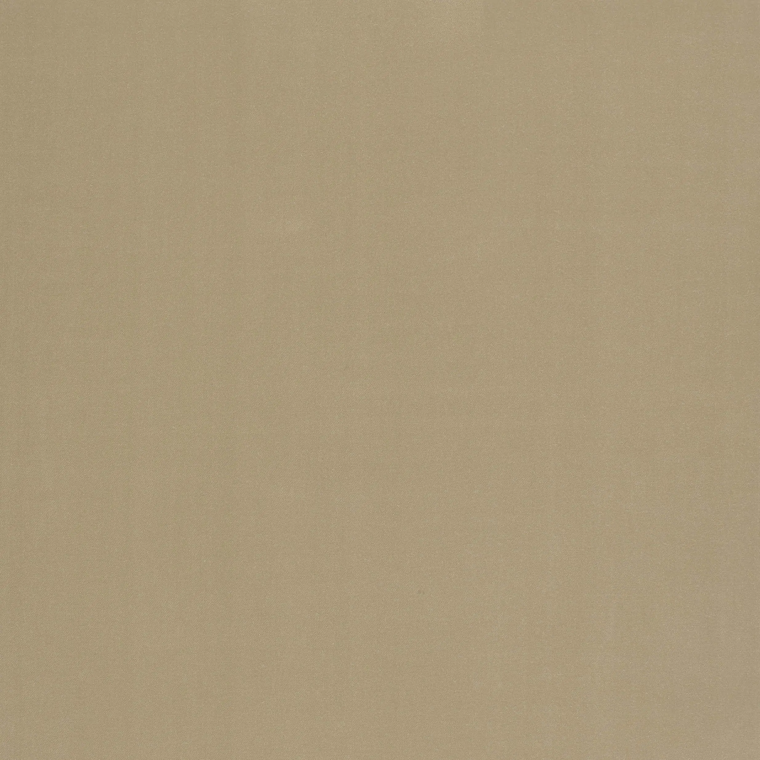 Beige 5 | Tiffany