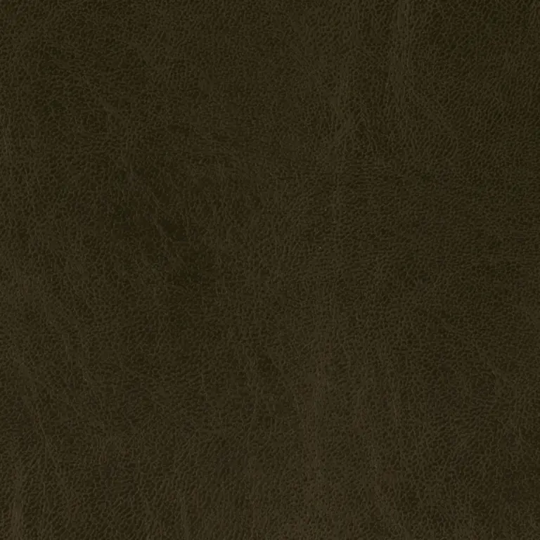 Espresso 41