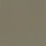 Taupe 08 | Ringo