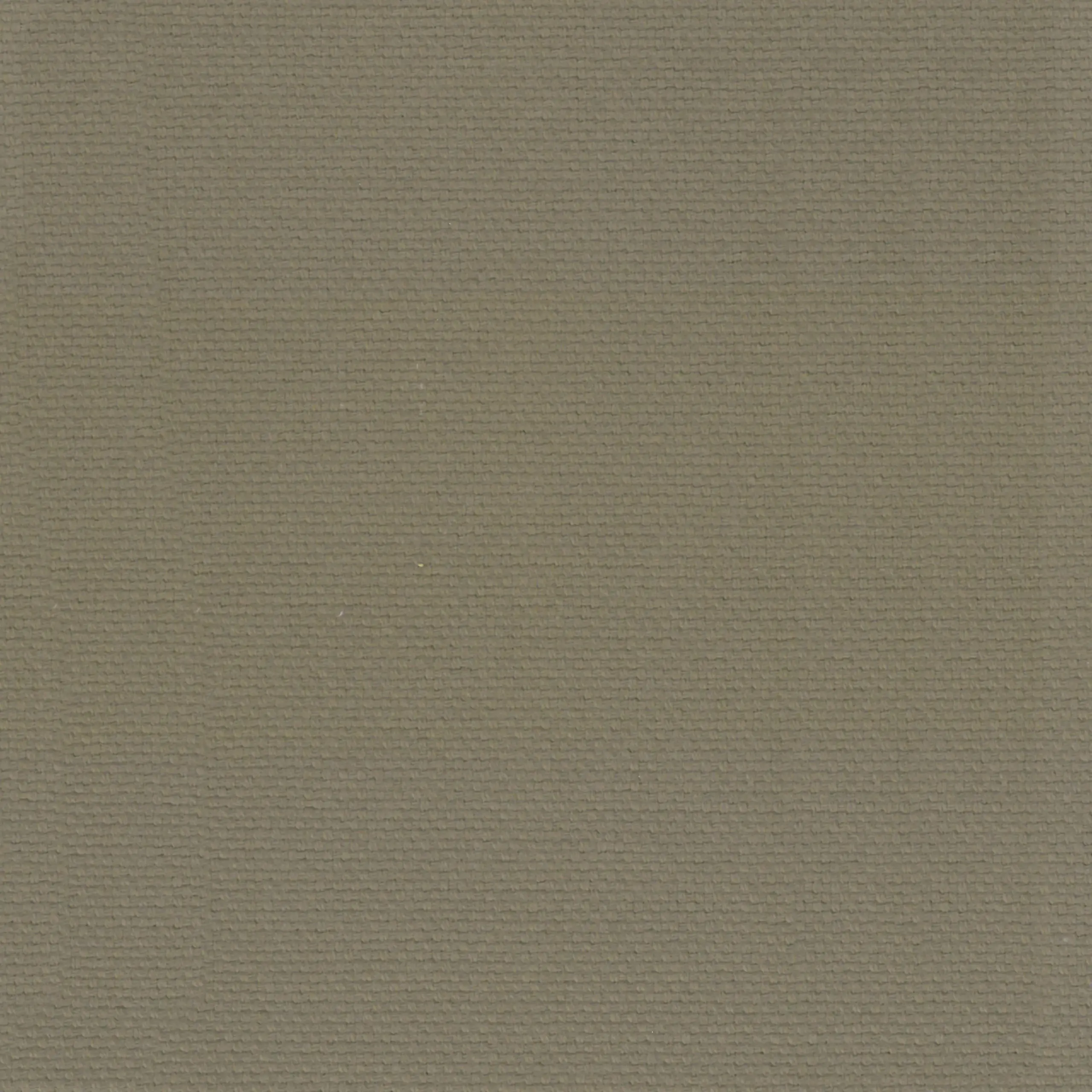Taupe 08 | Ringo
