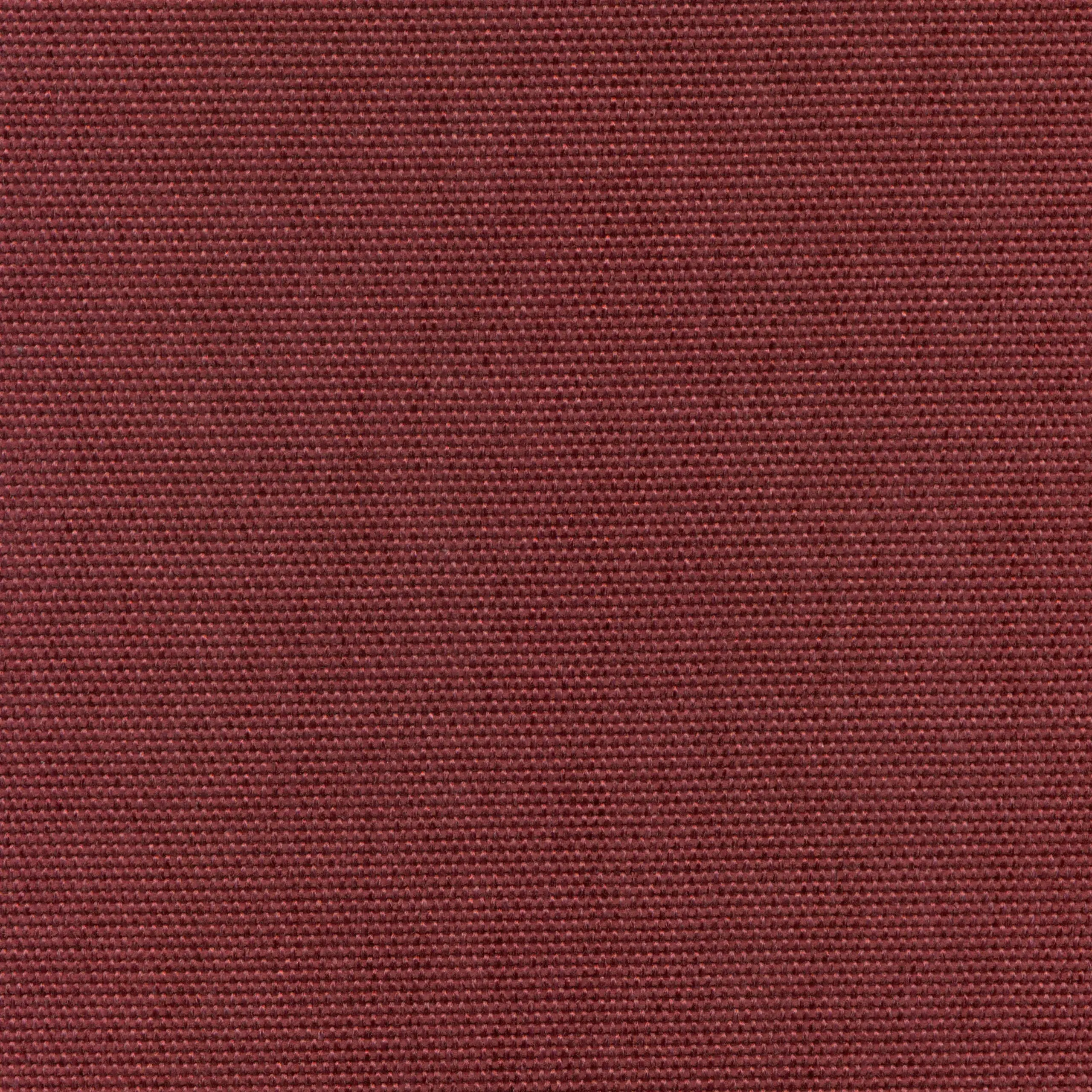 Bordeaux 303 | Sarah