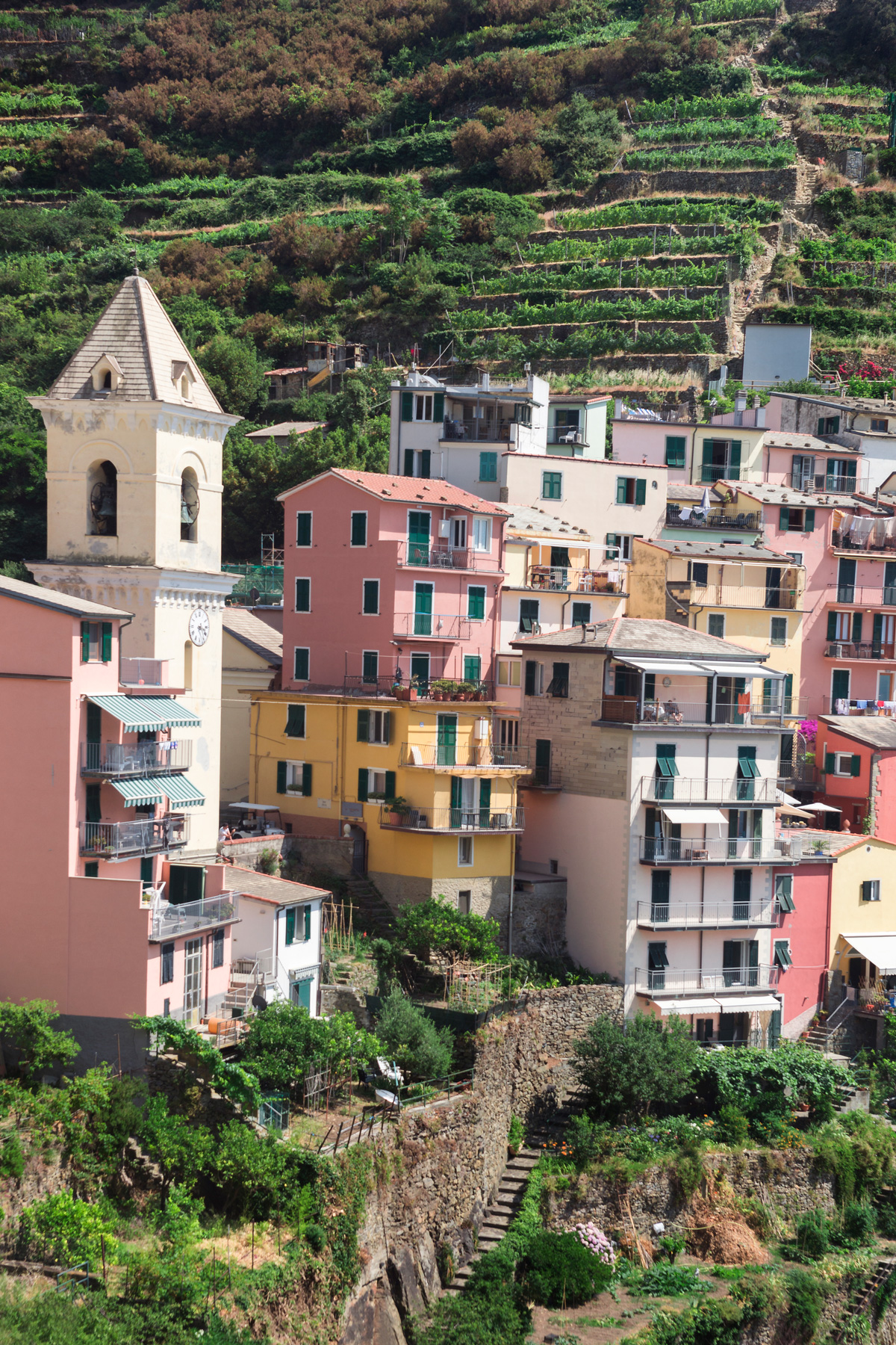 White 1 | Manarola