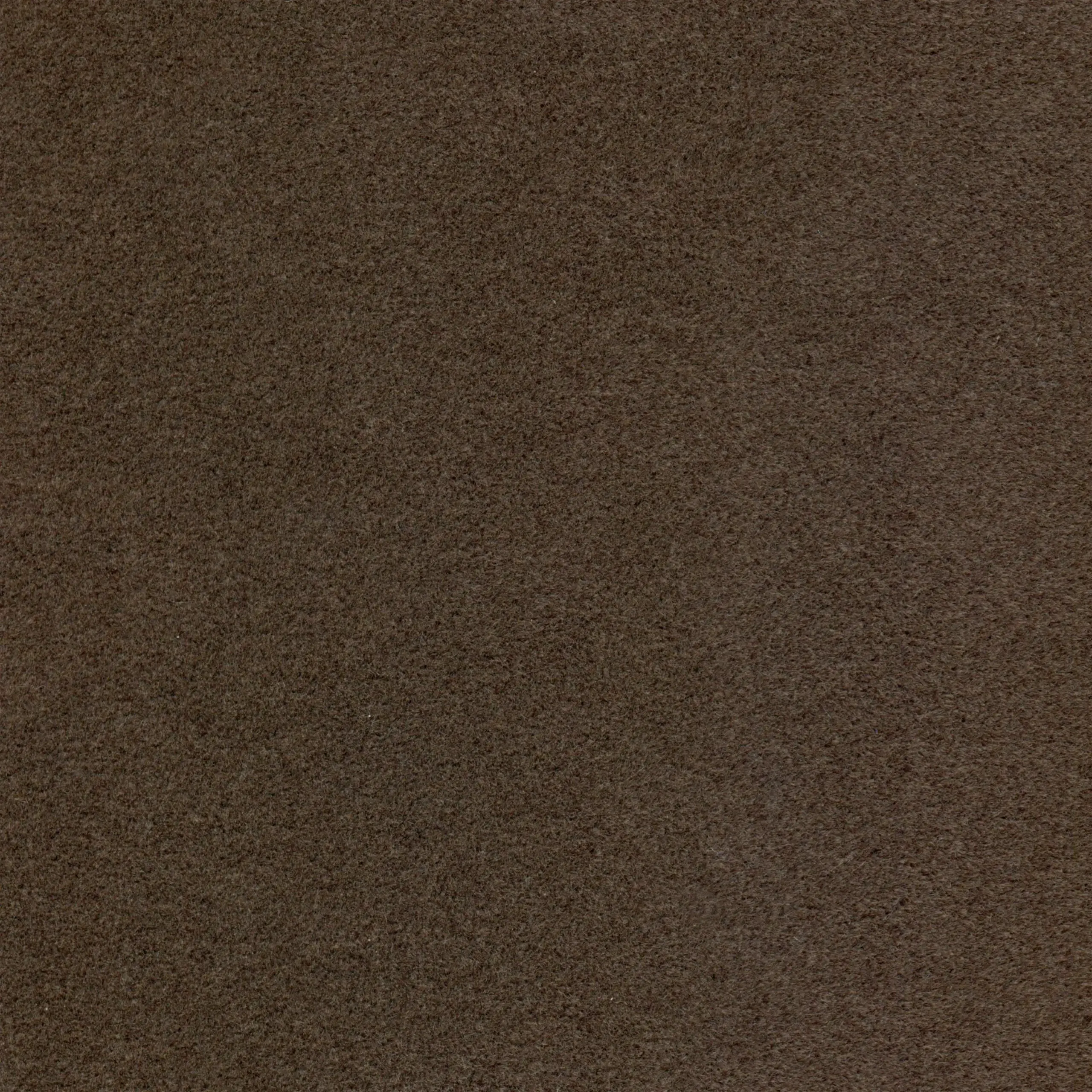 Coffee 10 | Sigma