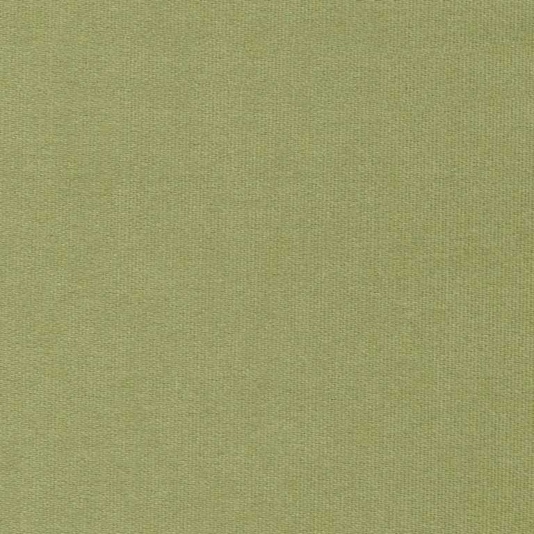 Celery 45