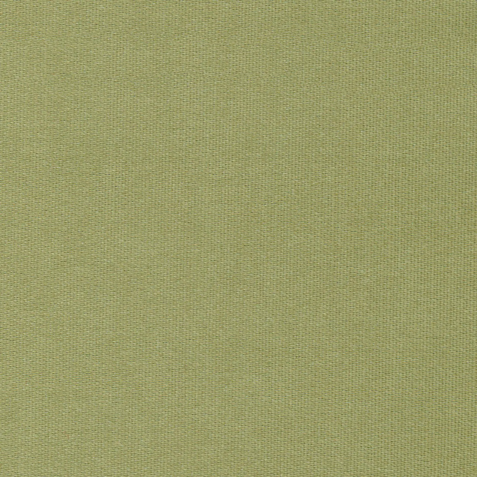 Celery 45 | Melba
