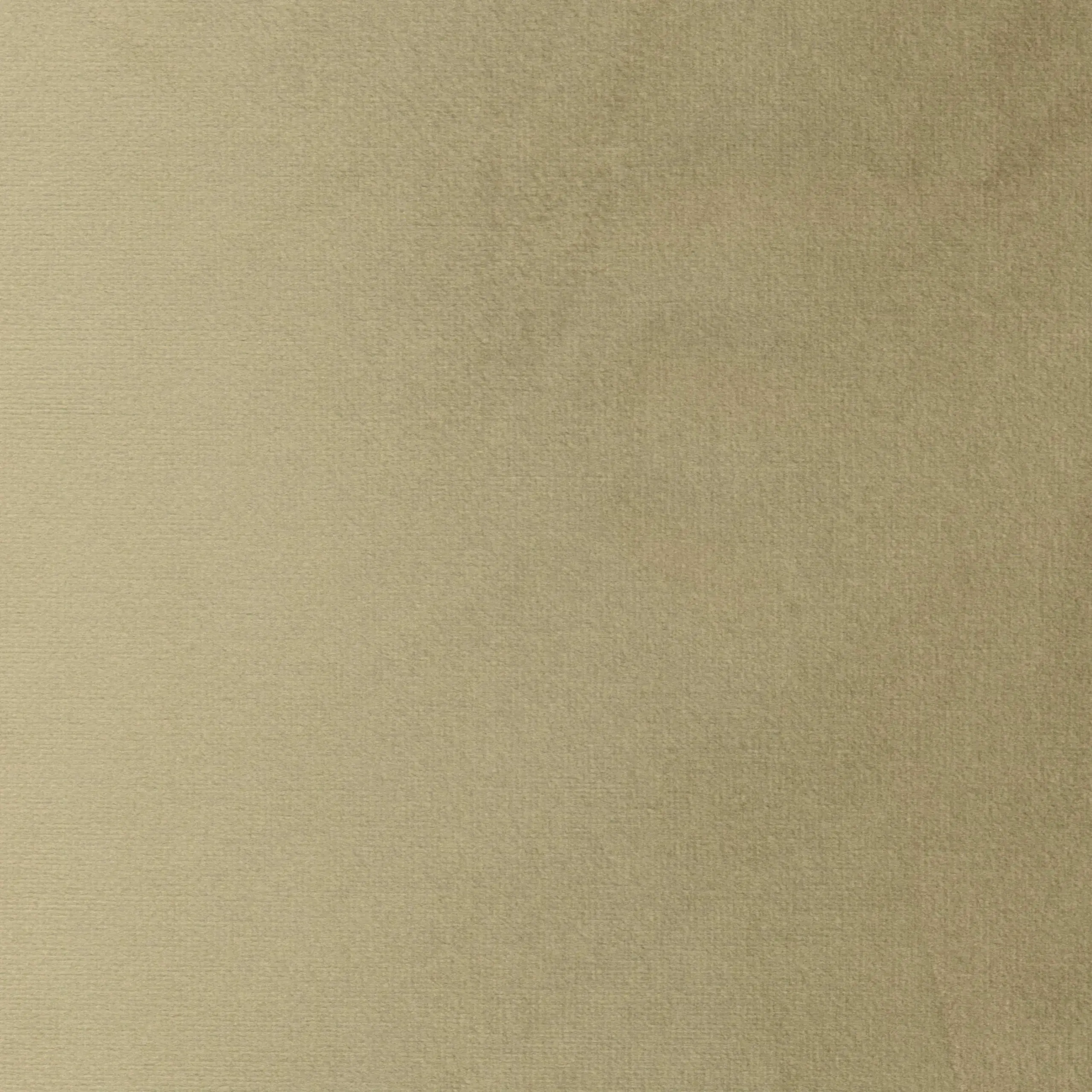 Camel 29 | Jason