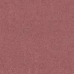 Blush 22 | Manarola