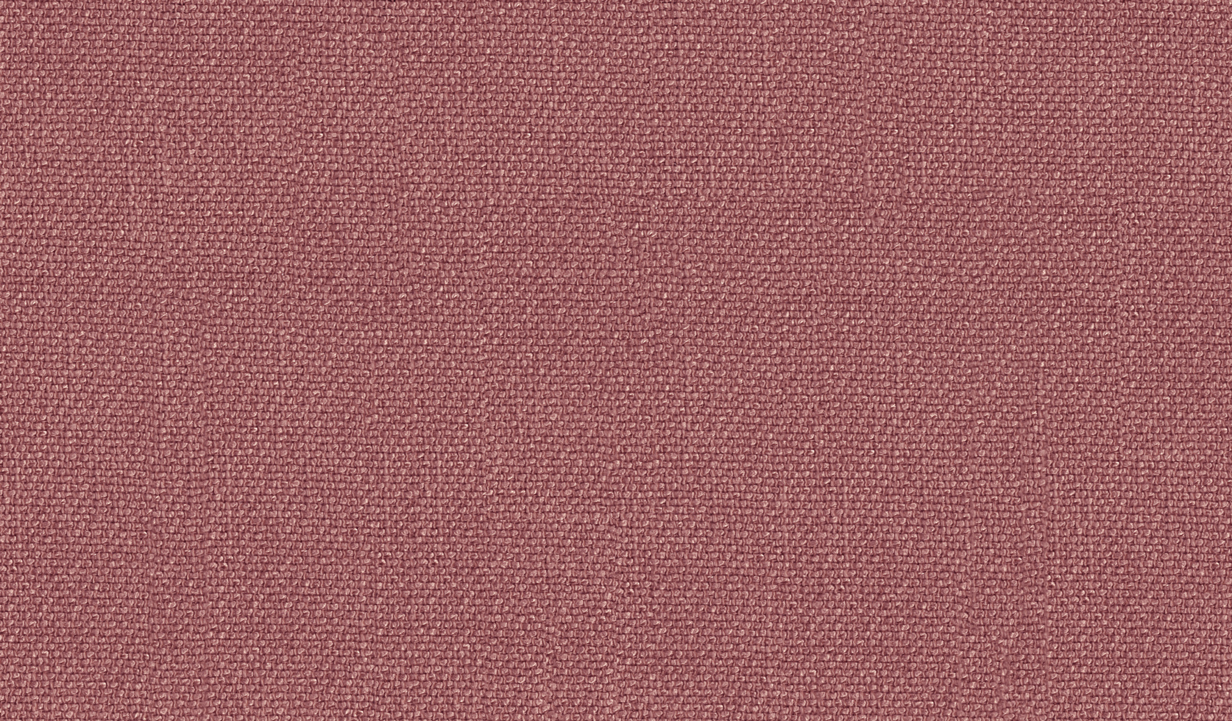 Blush 22 | Manarola