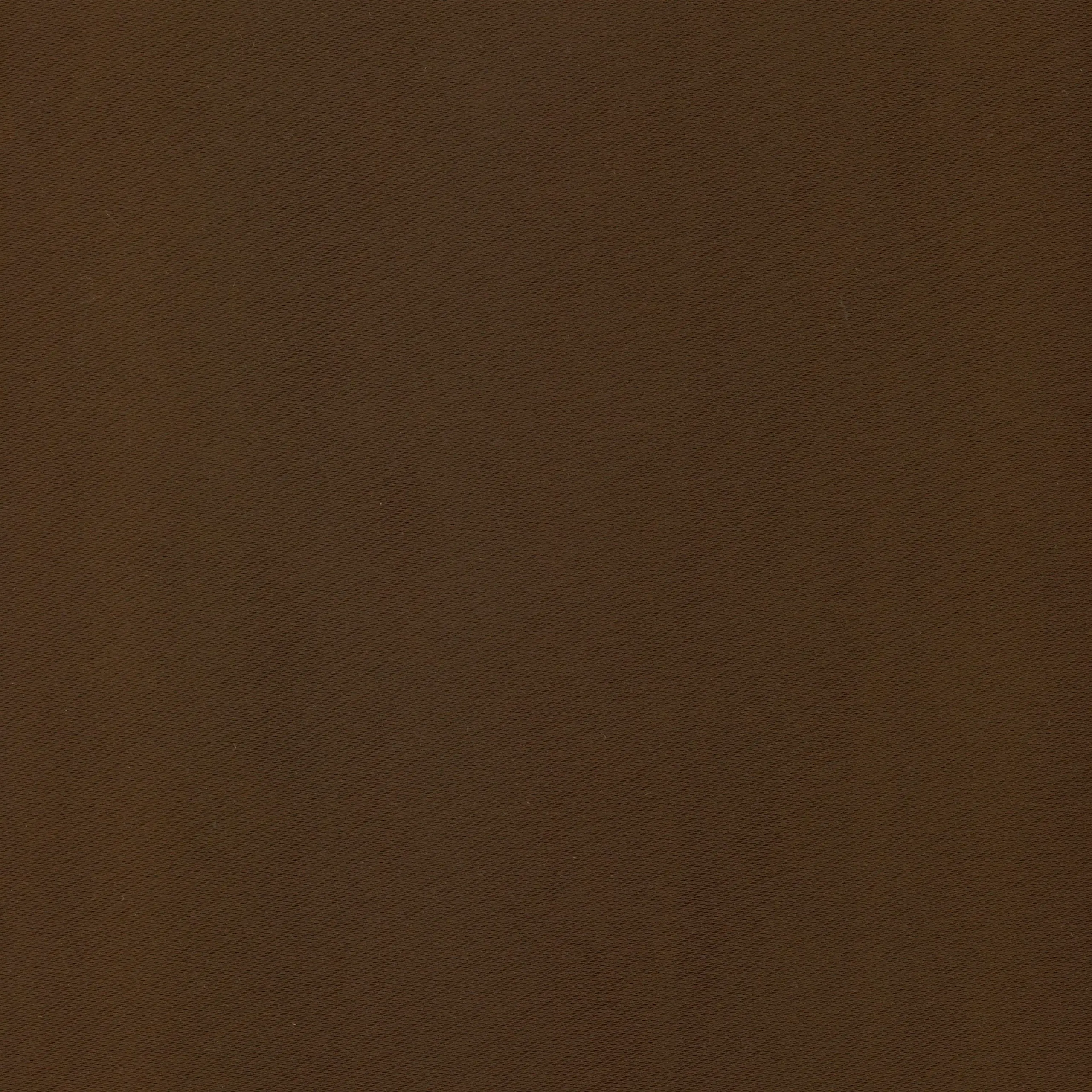 Chestnut 13 | Luna