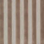 Bronze 51 | Ned