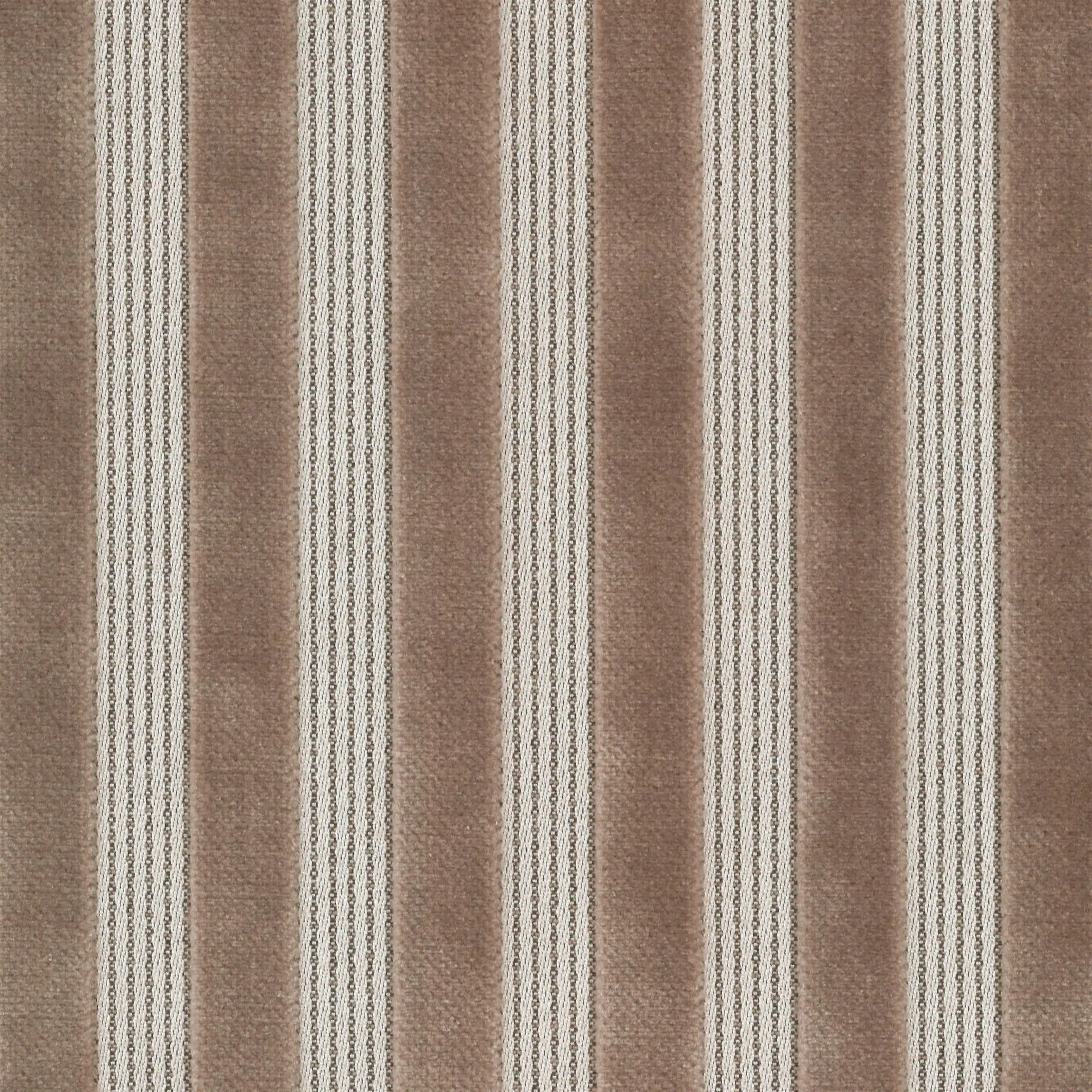 Bronze 51 | Ned