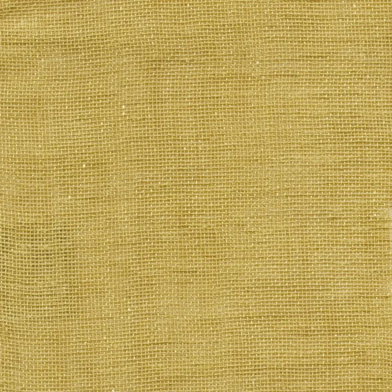 Seagrass 211
