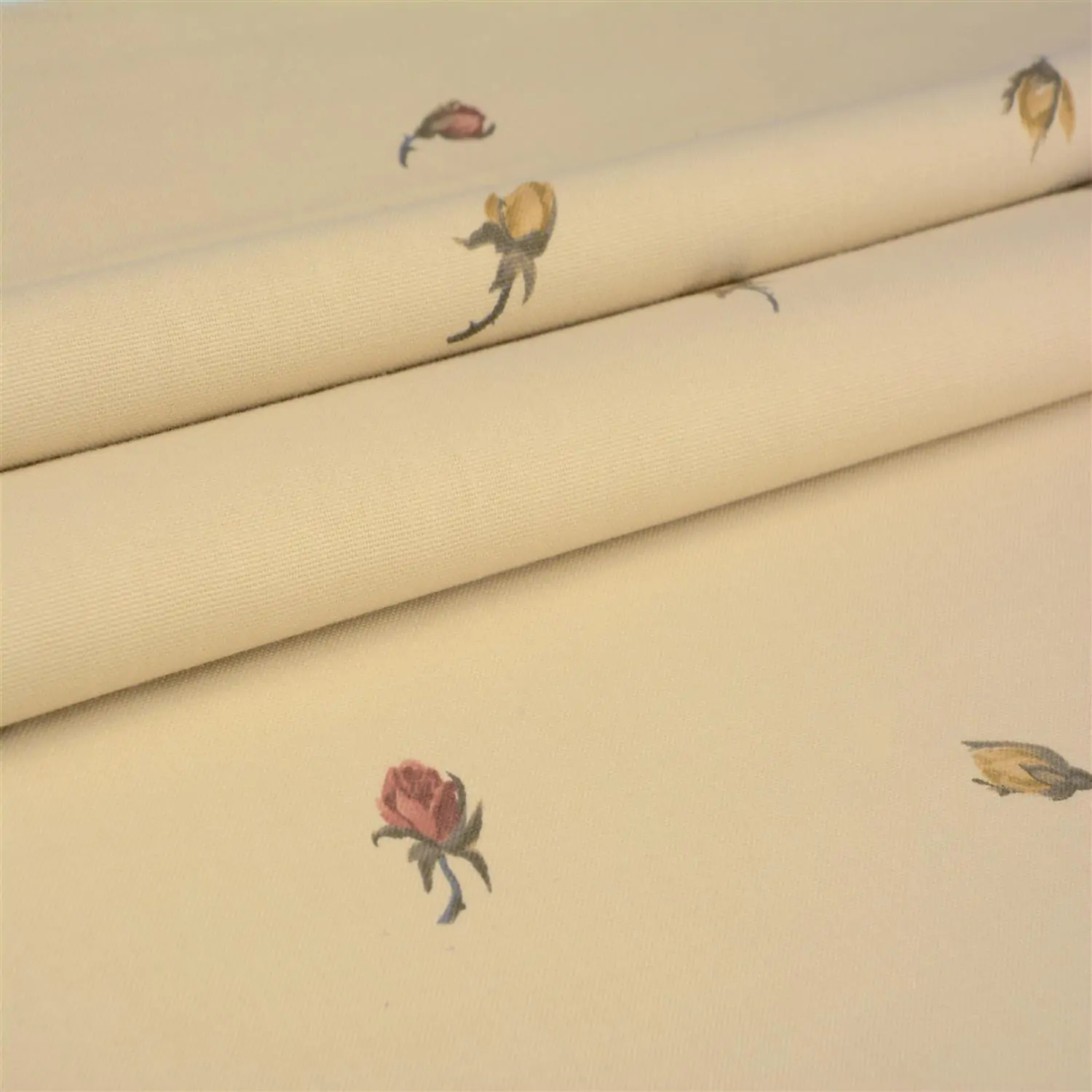 1 | Prints