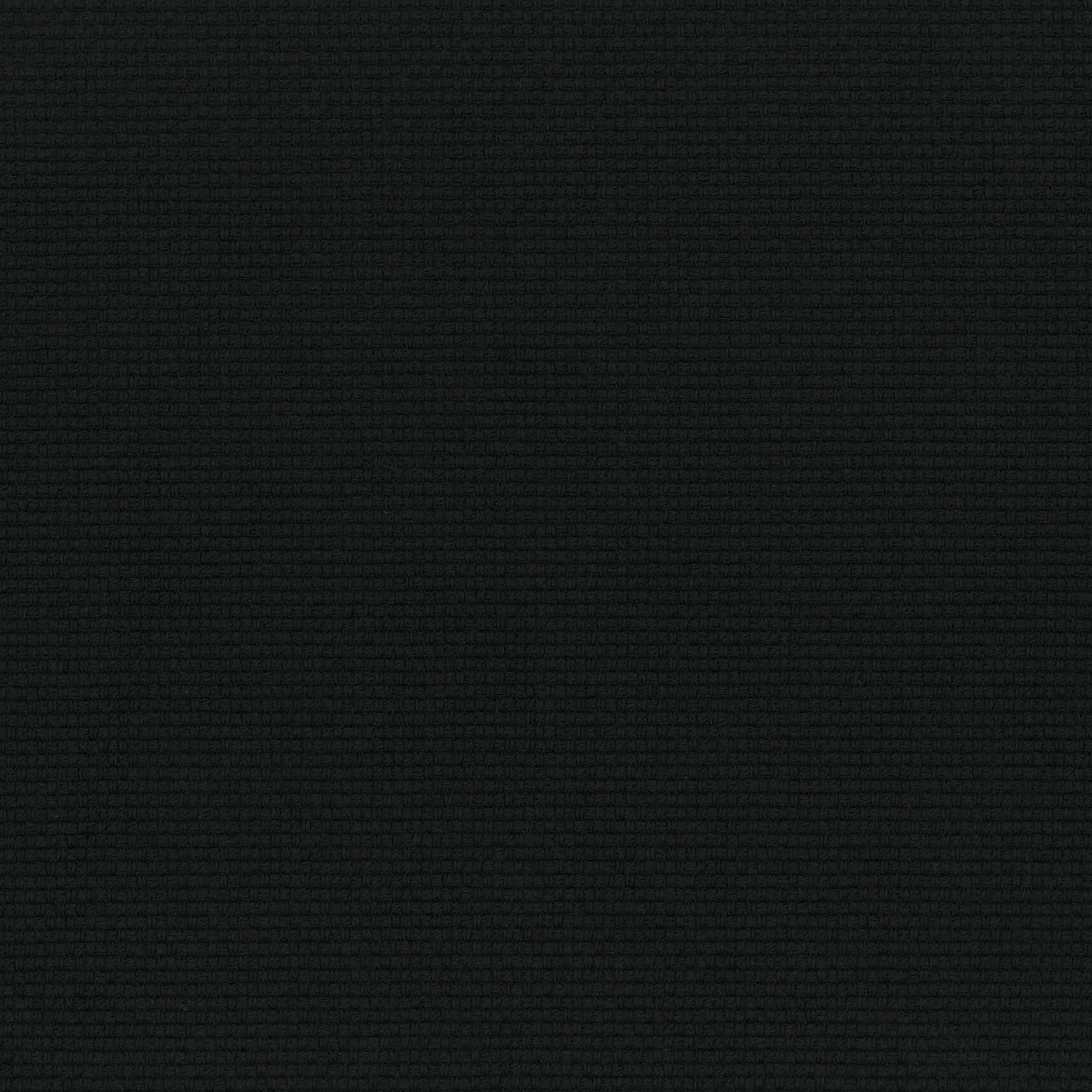 Black 12 | Limone
