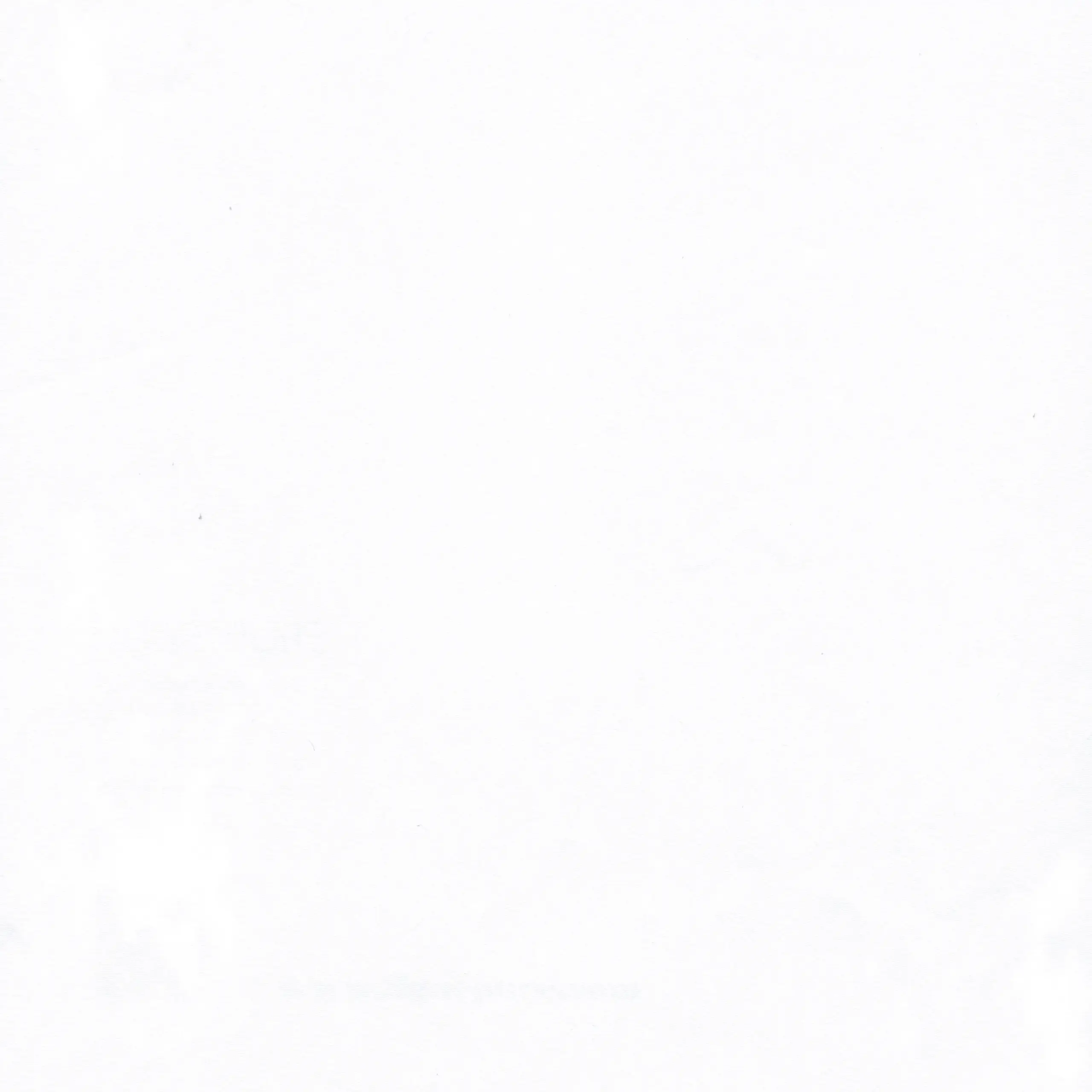 White | Organza