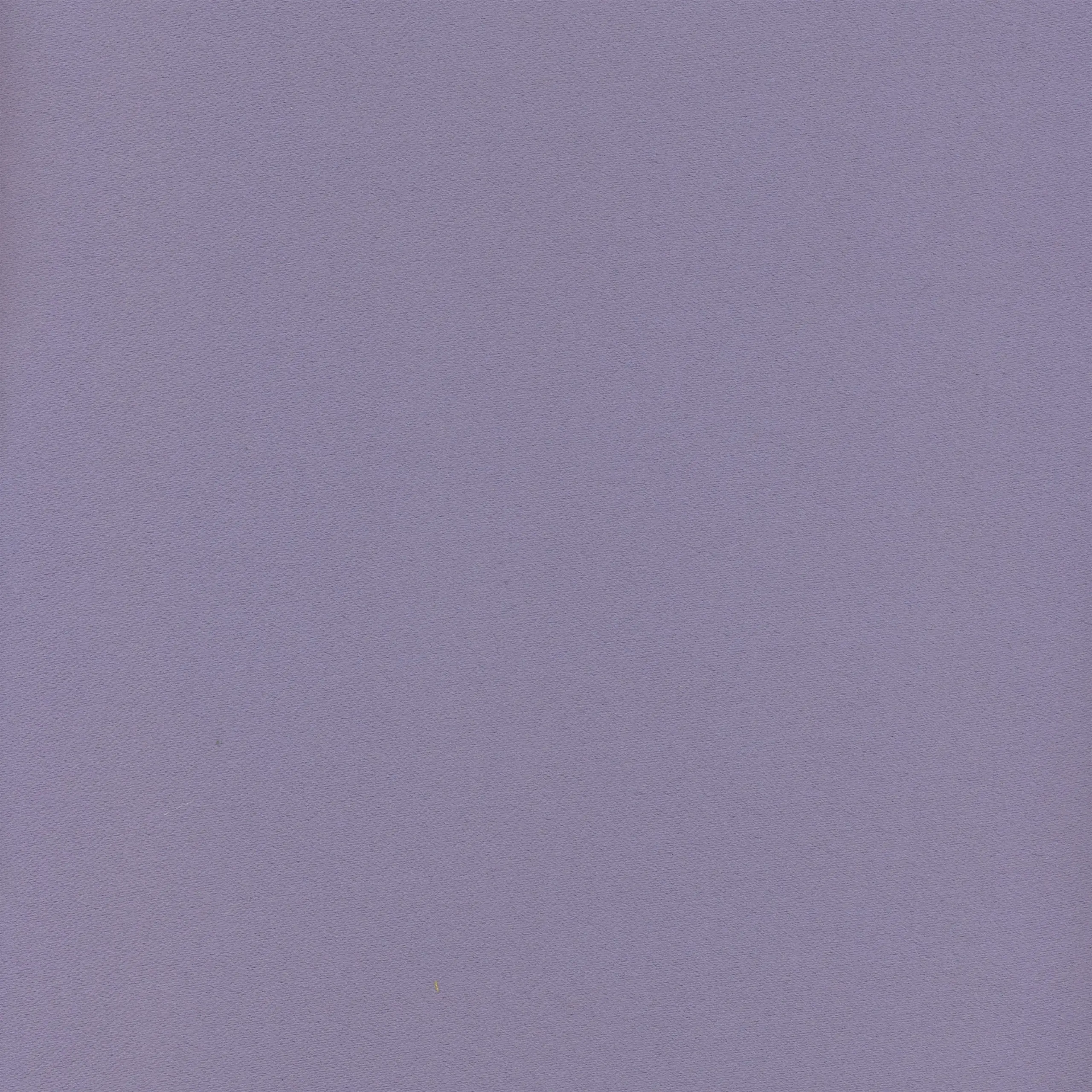 Orchid 209 | Moonlight