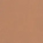 Terracotta 043 | Nestor