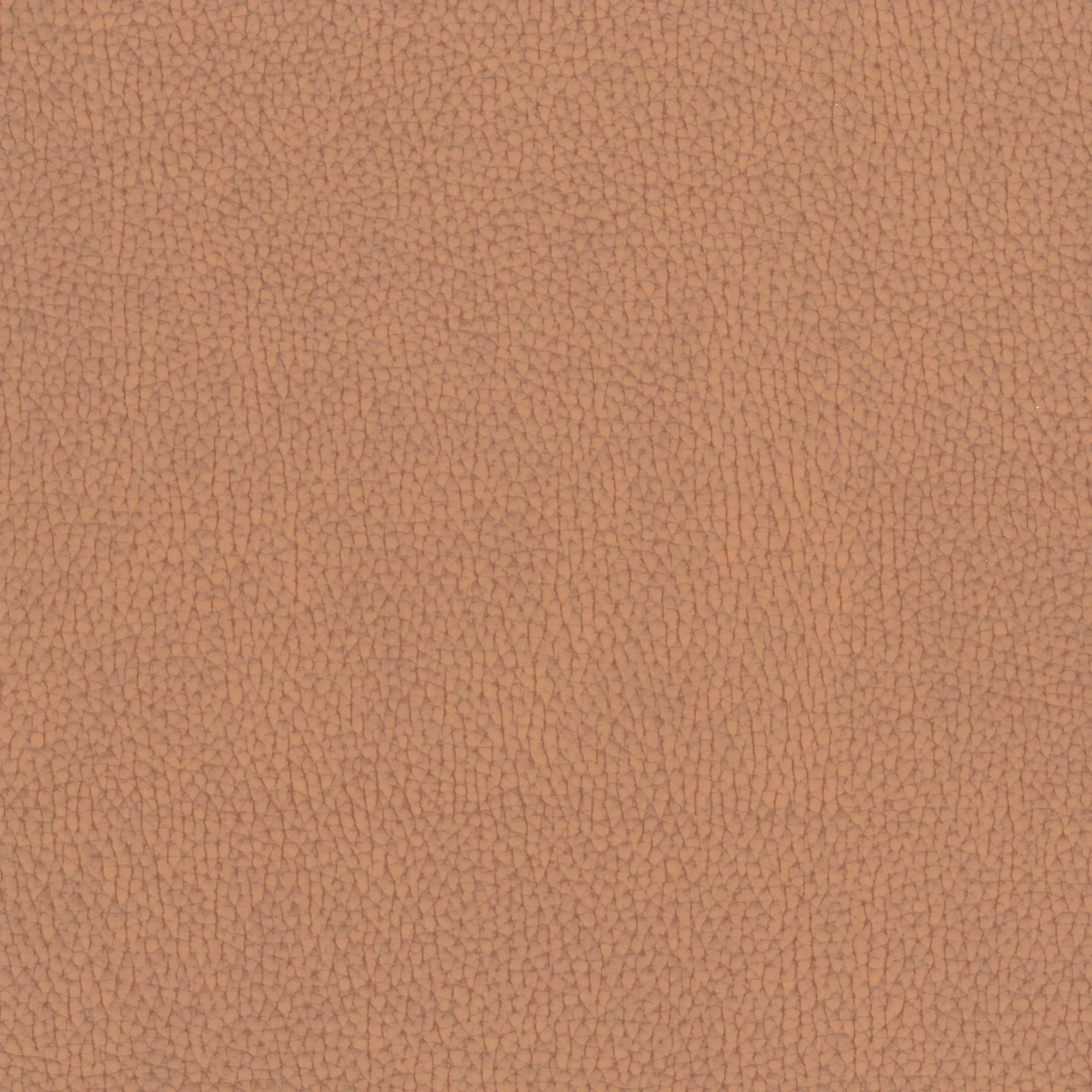 Terracotta 043 | Nestor