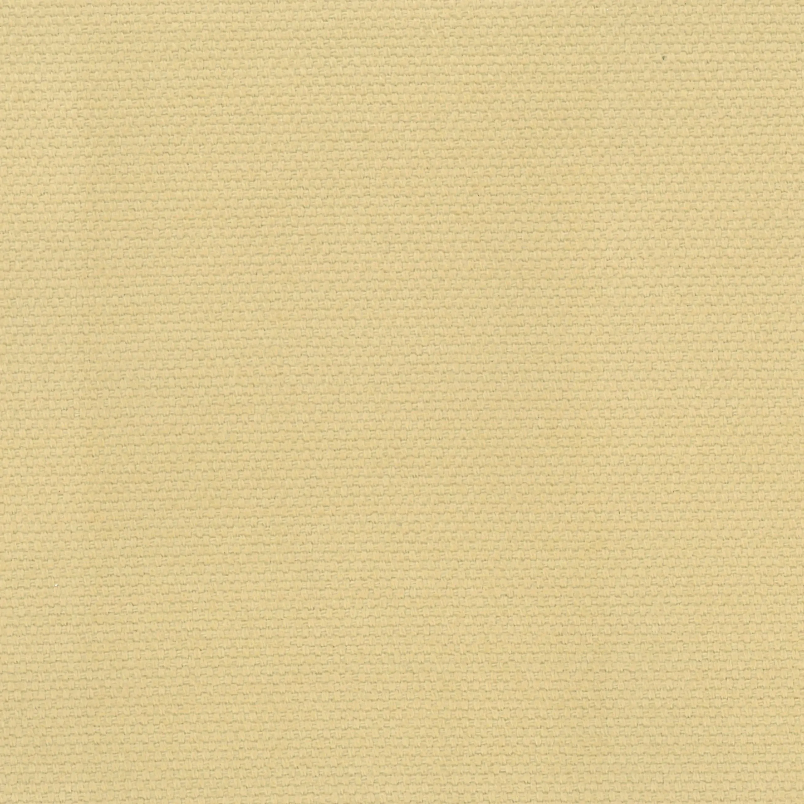 Sesame 04 | Ringo