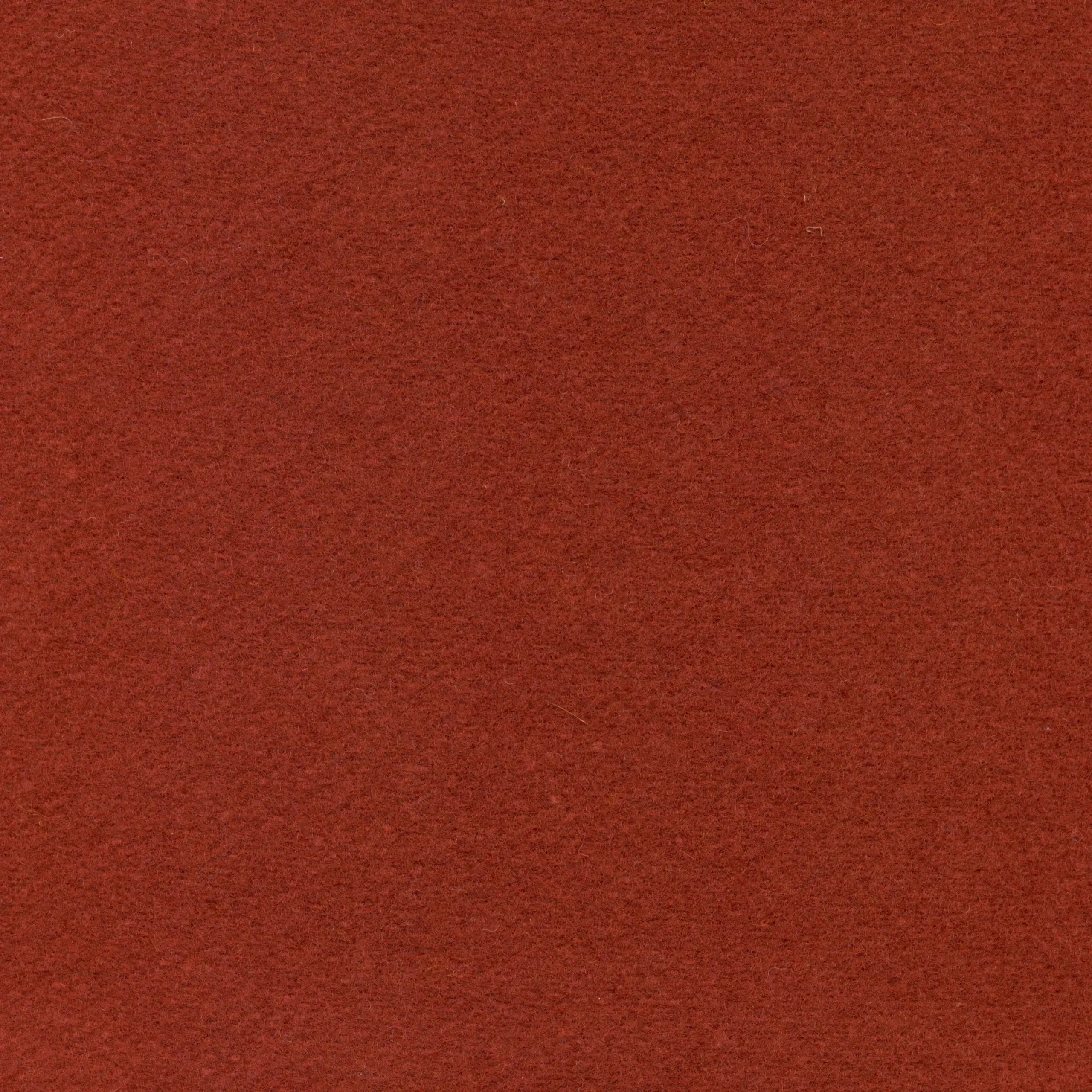 Ruby 302 | Omar