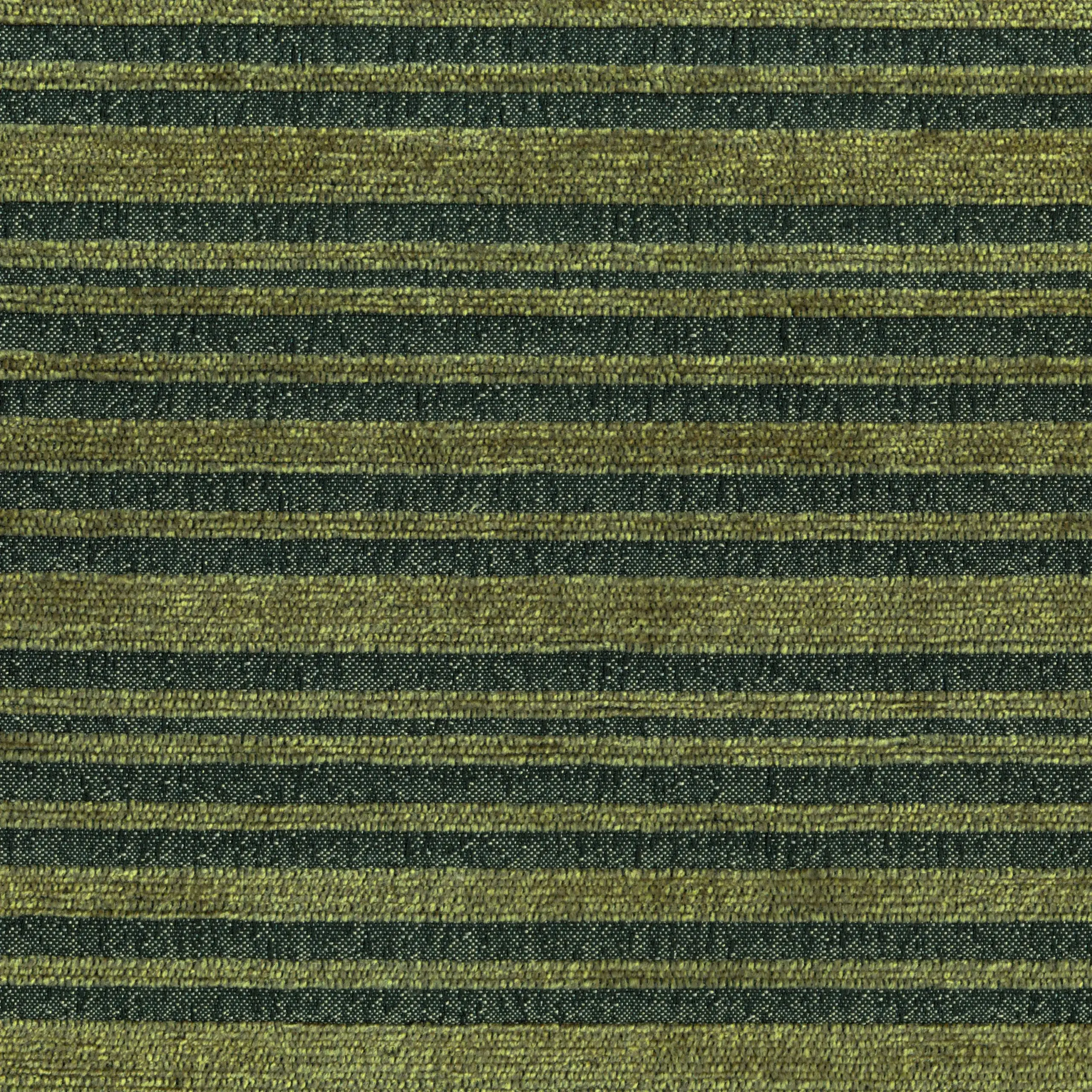 Olive 55 | Janis