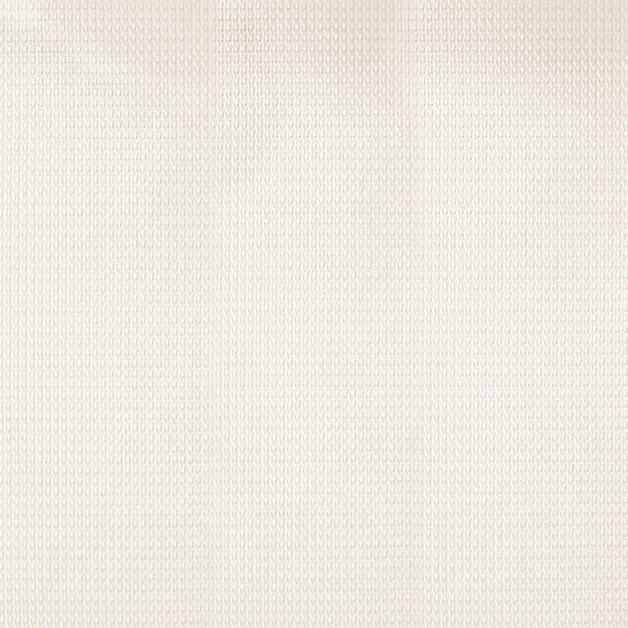 Ivory 097 | Perfection