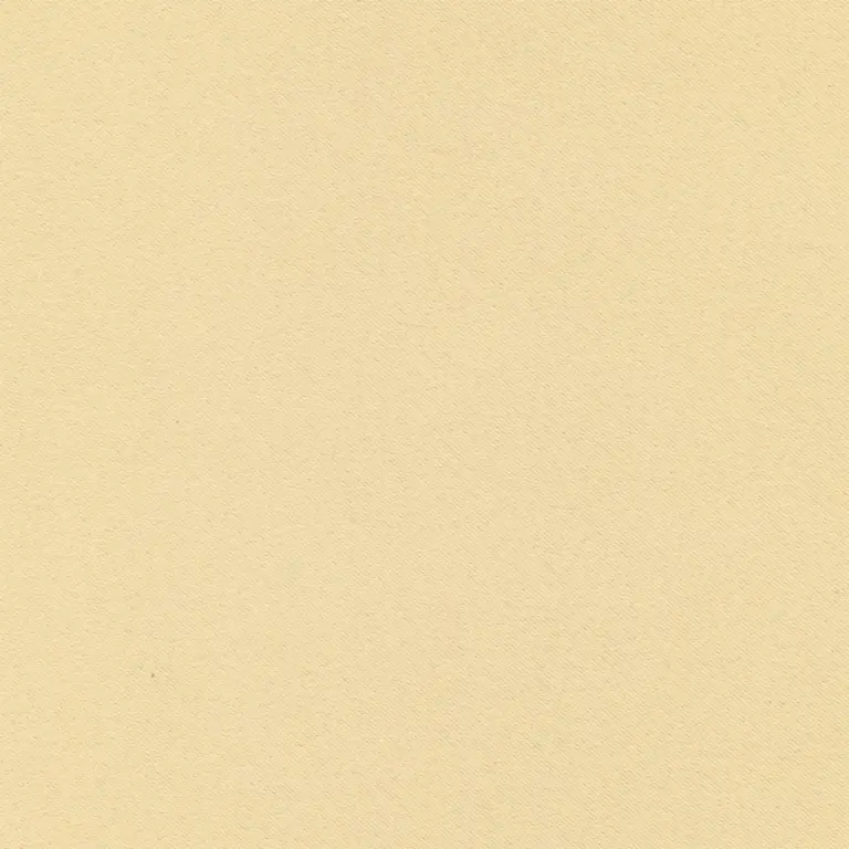Biscuit