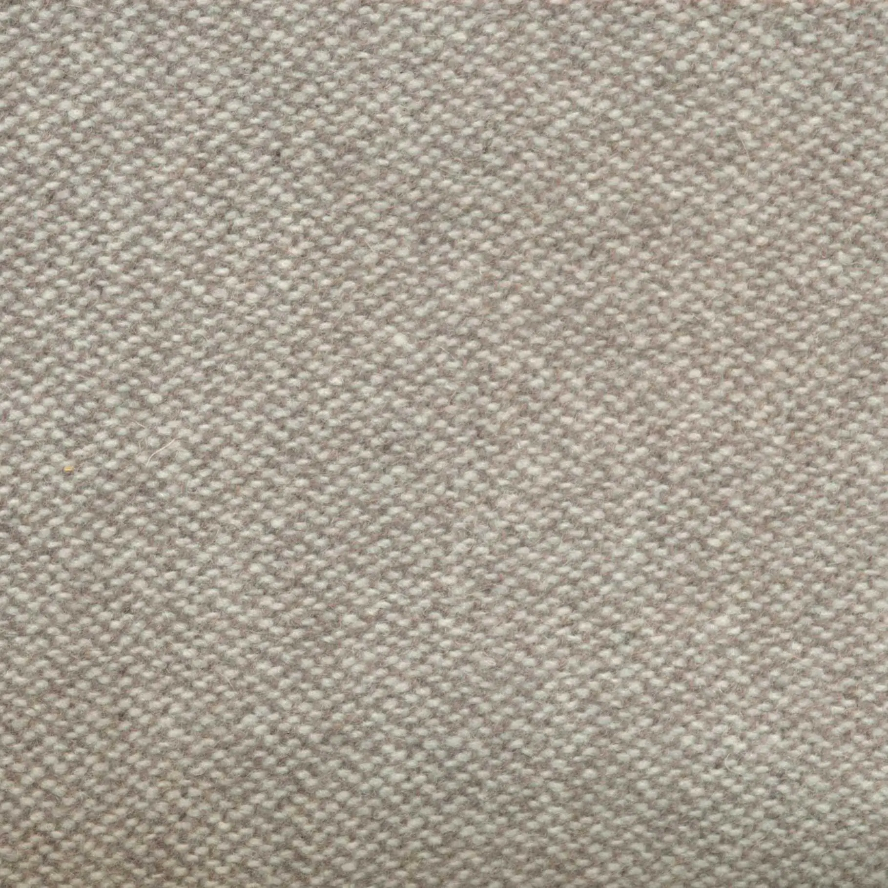 Stone 519 | Savoy FR