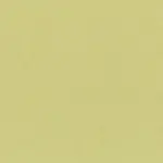 Leek Green 31 | Riga