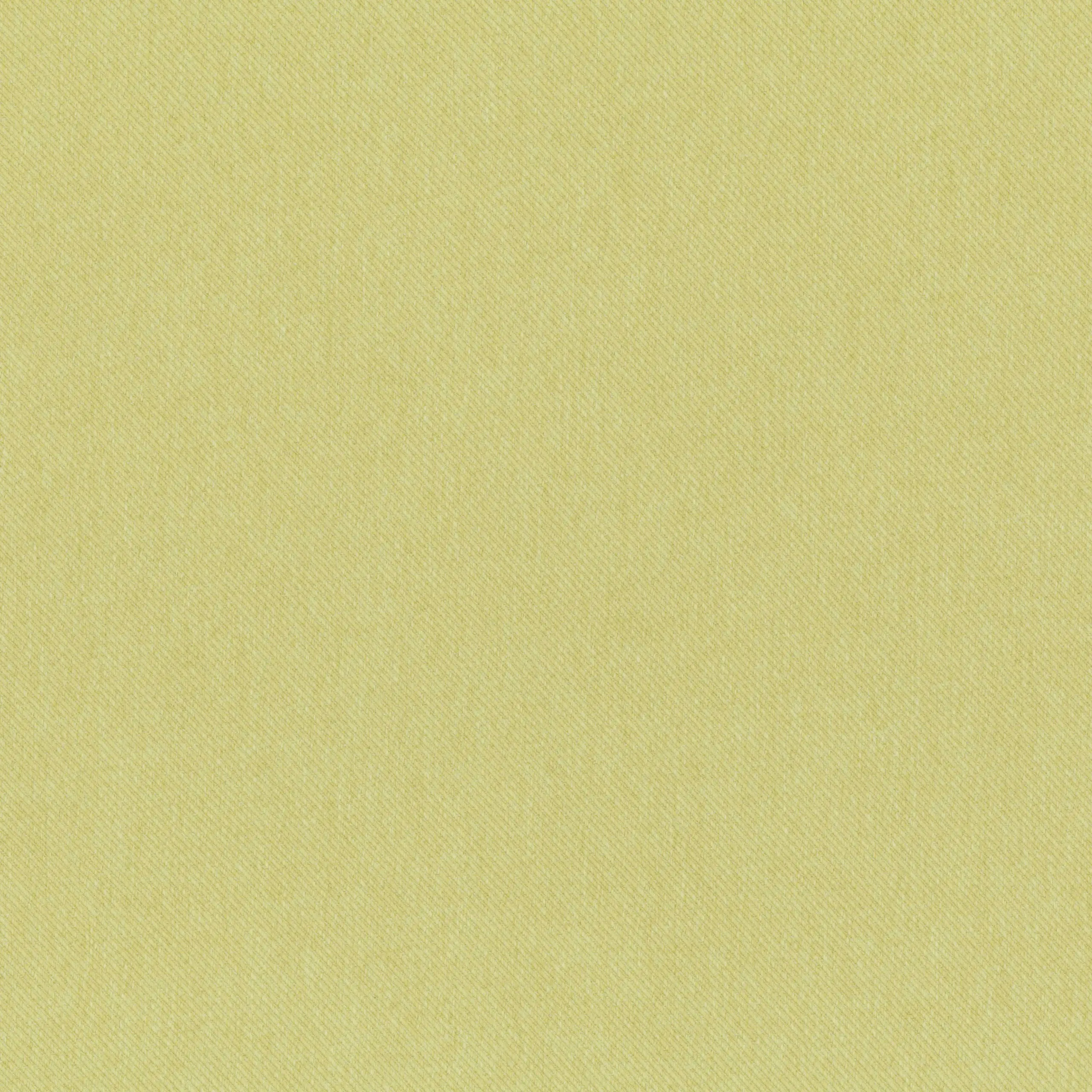Leek Green 31 | Riga