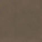 Chestnut 23 | Tremiti