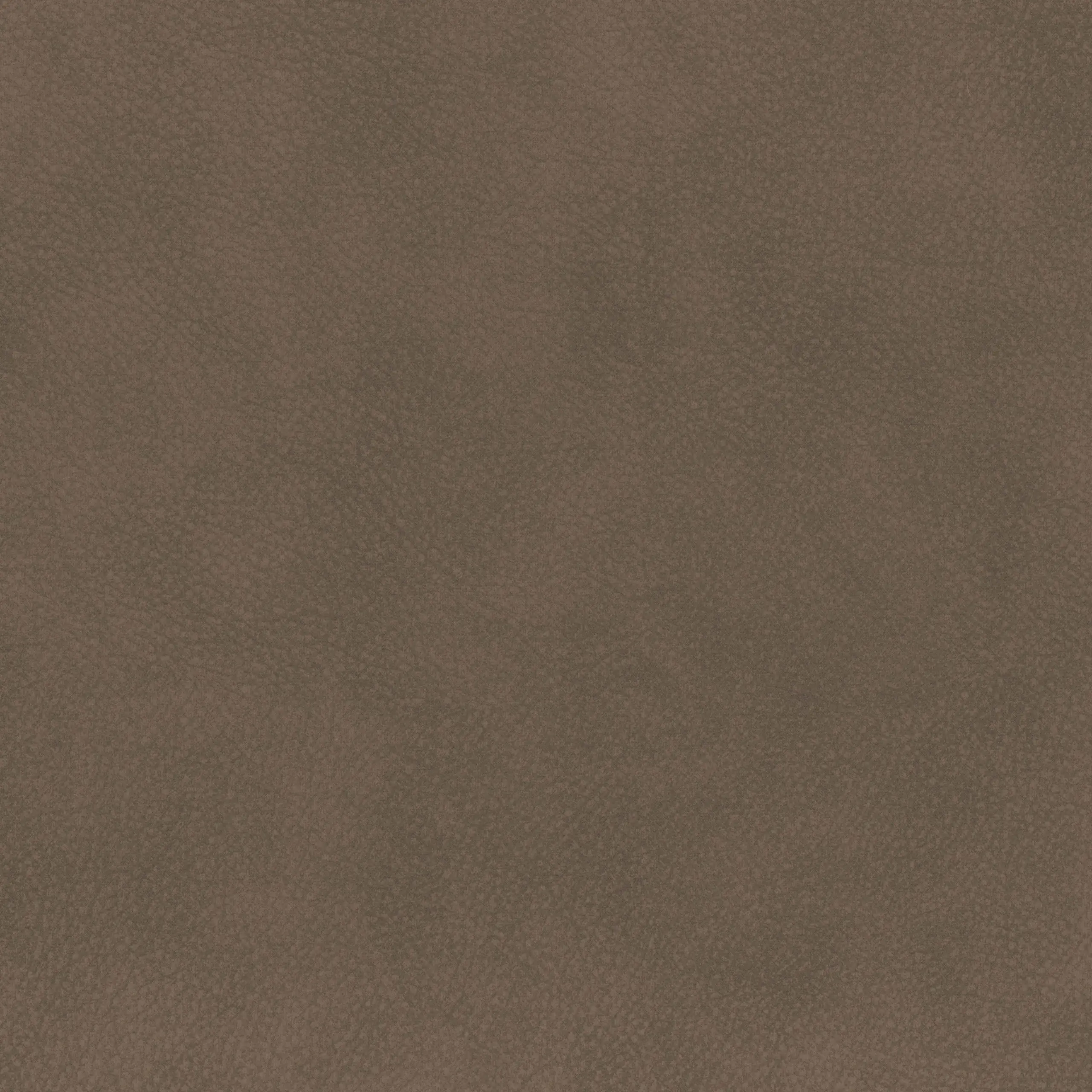Chestnut 23 | Tremiti