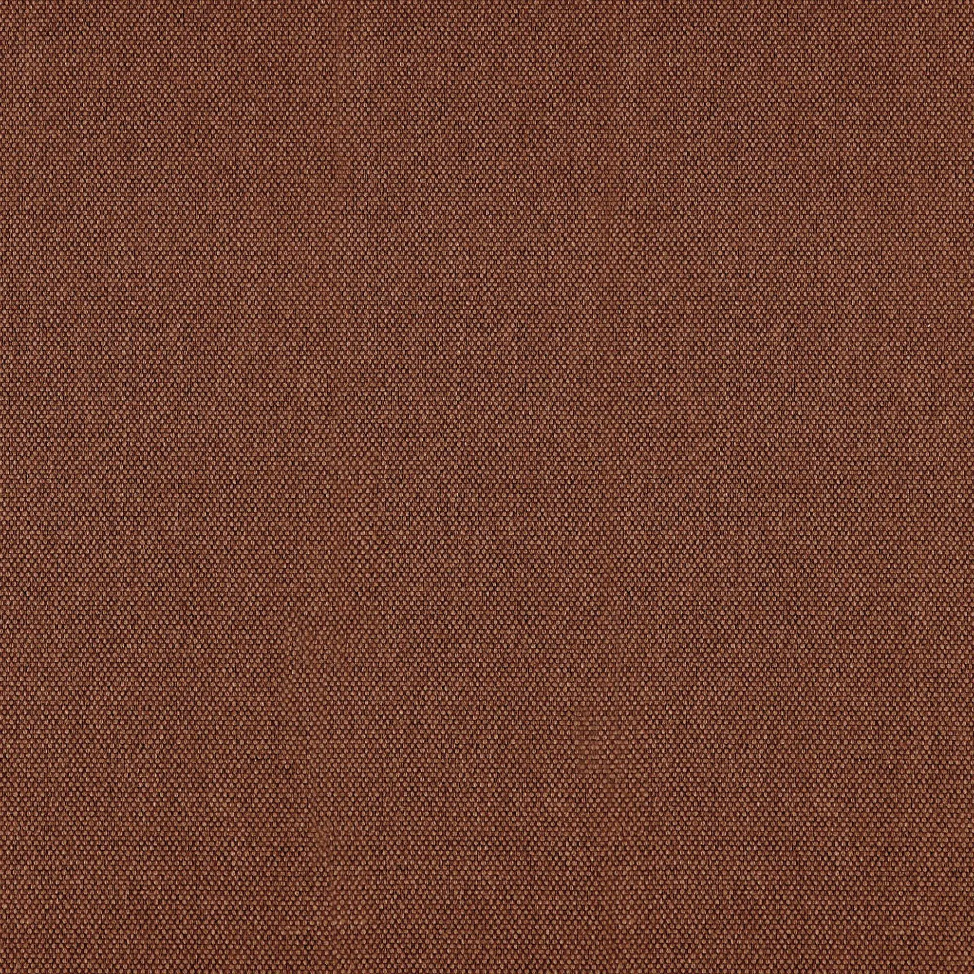 Chipmunk 048 | Prime