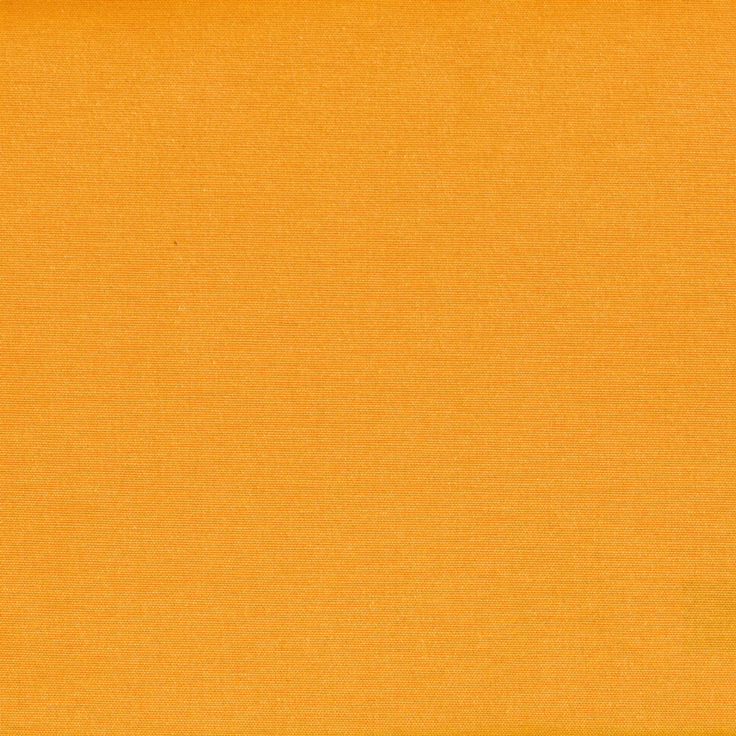 Mango 7 | Sunflower