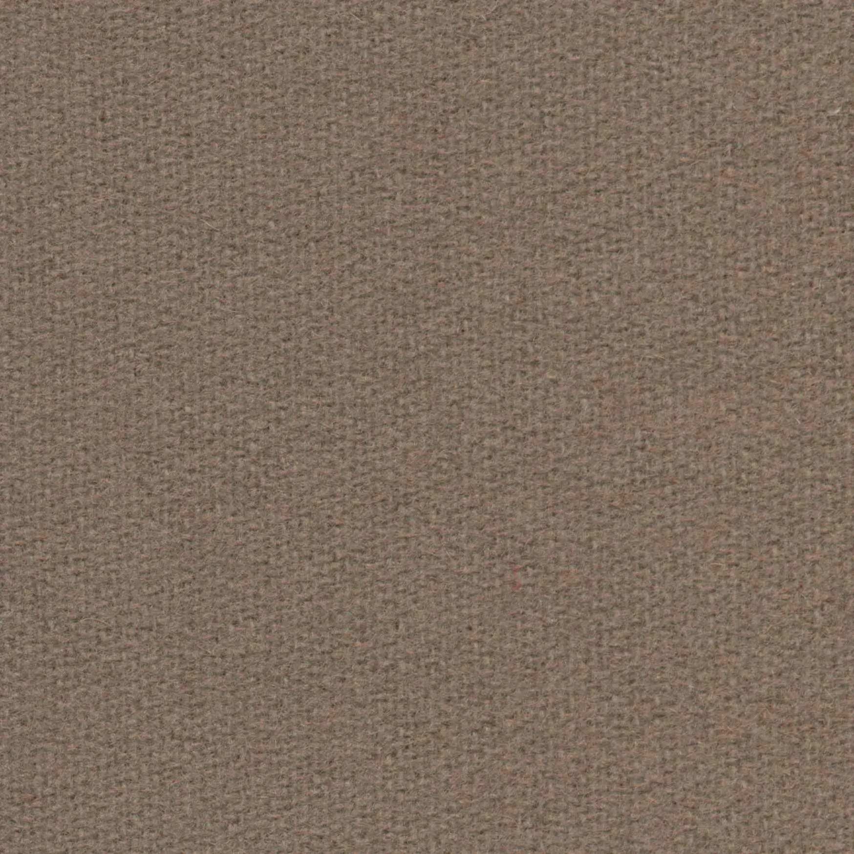 Truffle H496 | Savoy FR