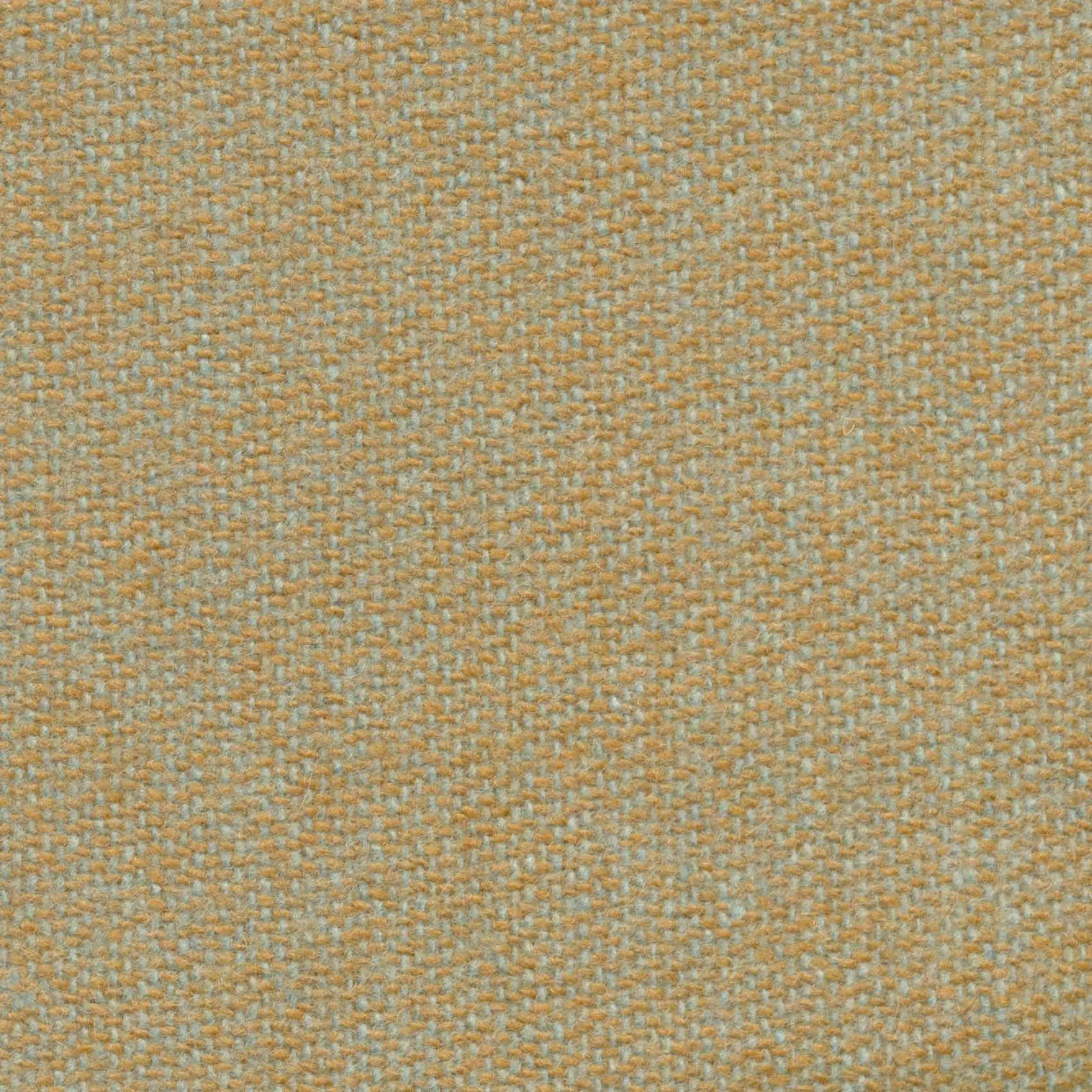 Linden 531 | Savoy FR