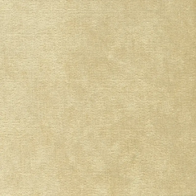 Sesame 04