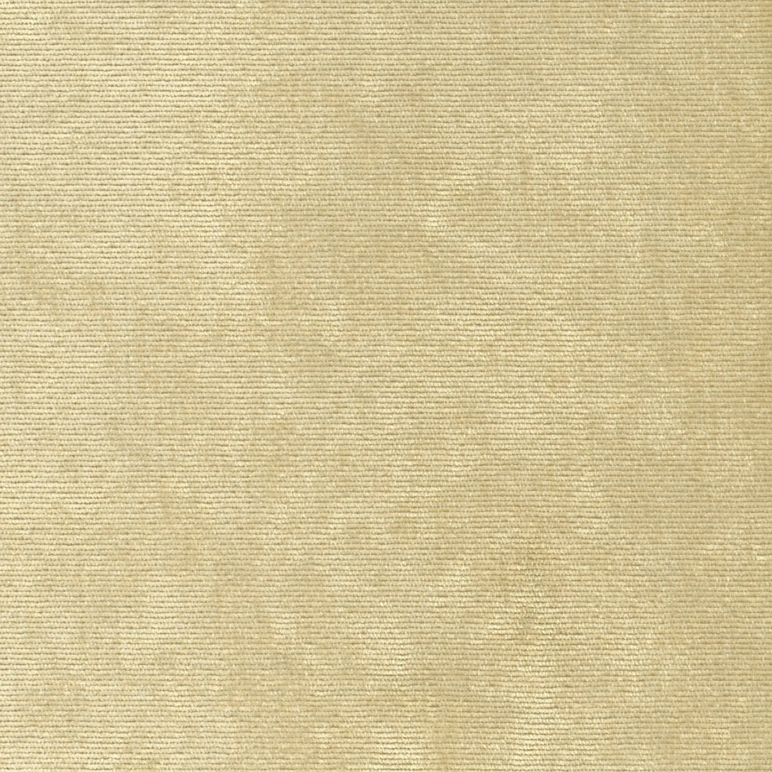 Sesame 04 | Verner