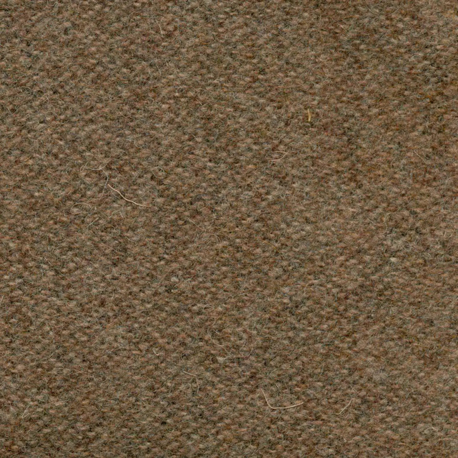 Toffee 409 | Savoy FR