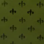 Cactus 34 | Sokrates