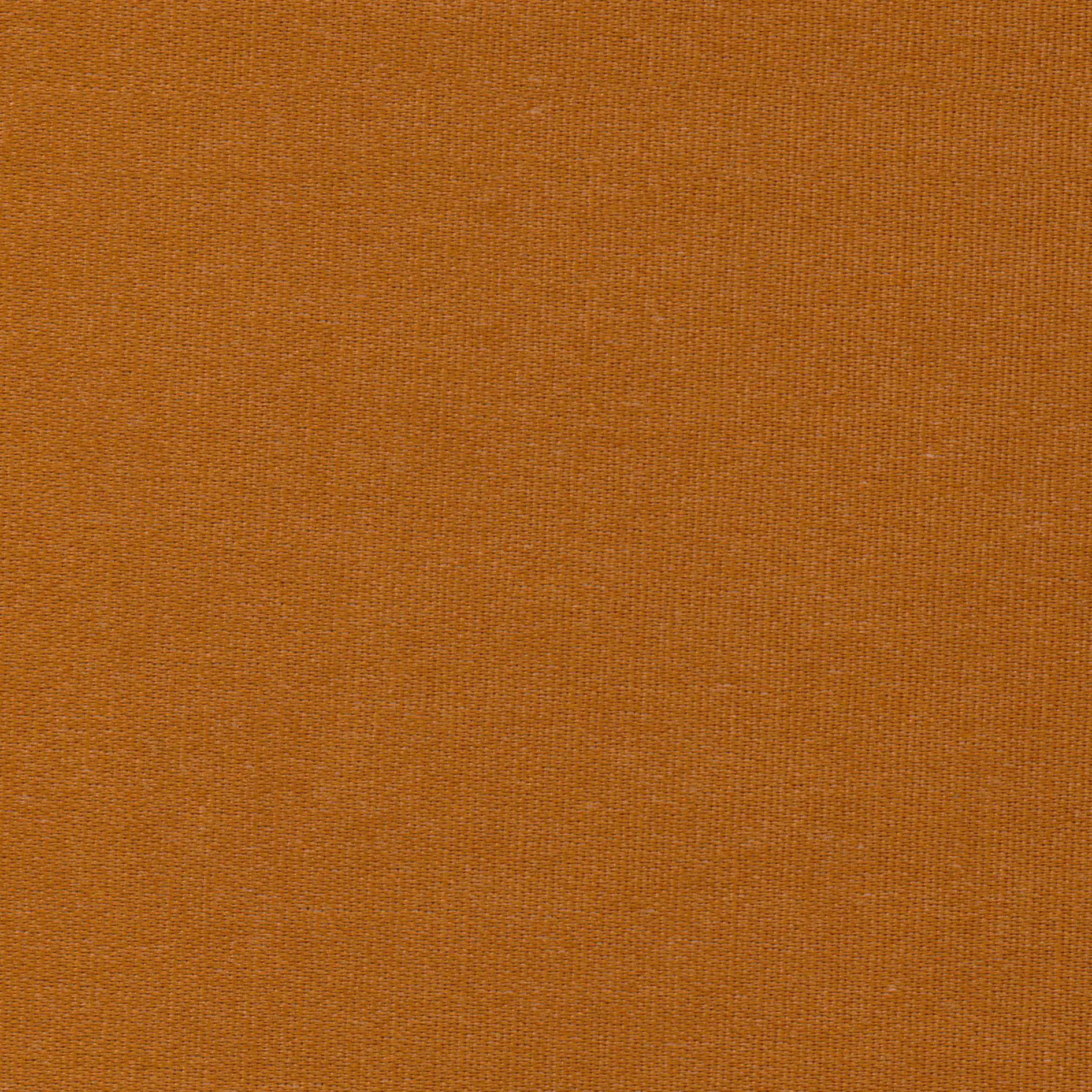 Terracotta 40 | Melba