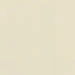 Ivory 22 | Ringo