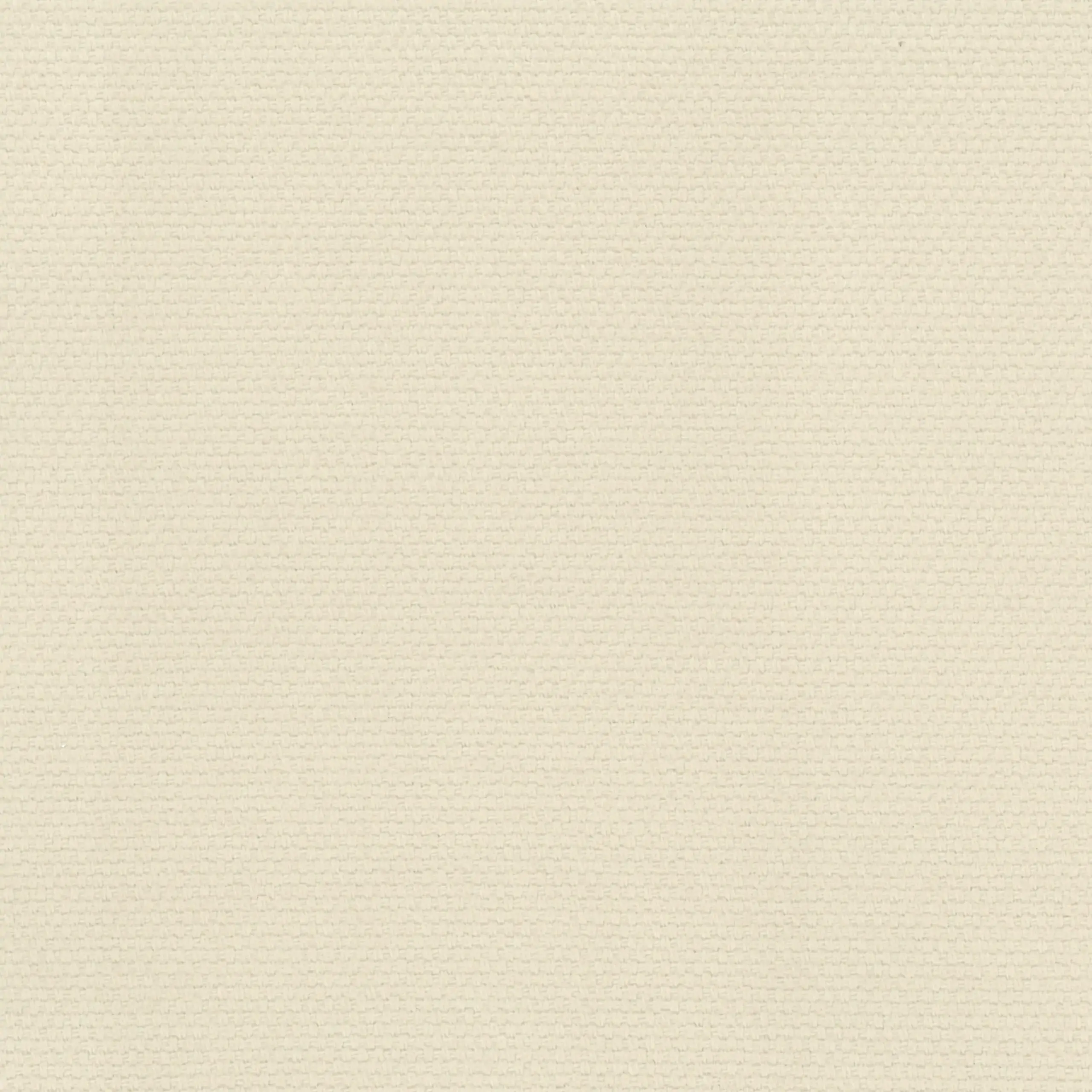 Ivory 22 | Ringo