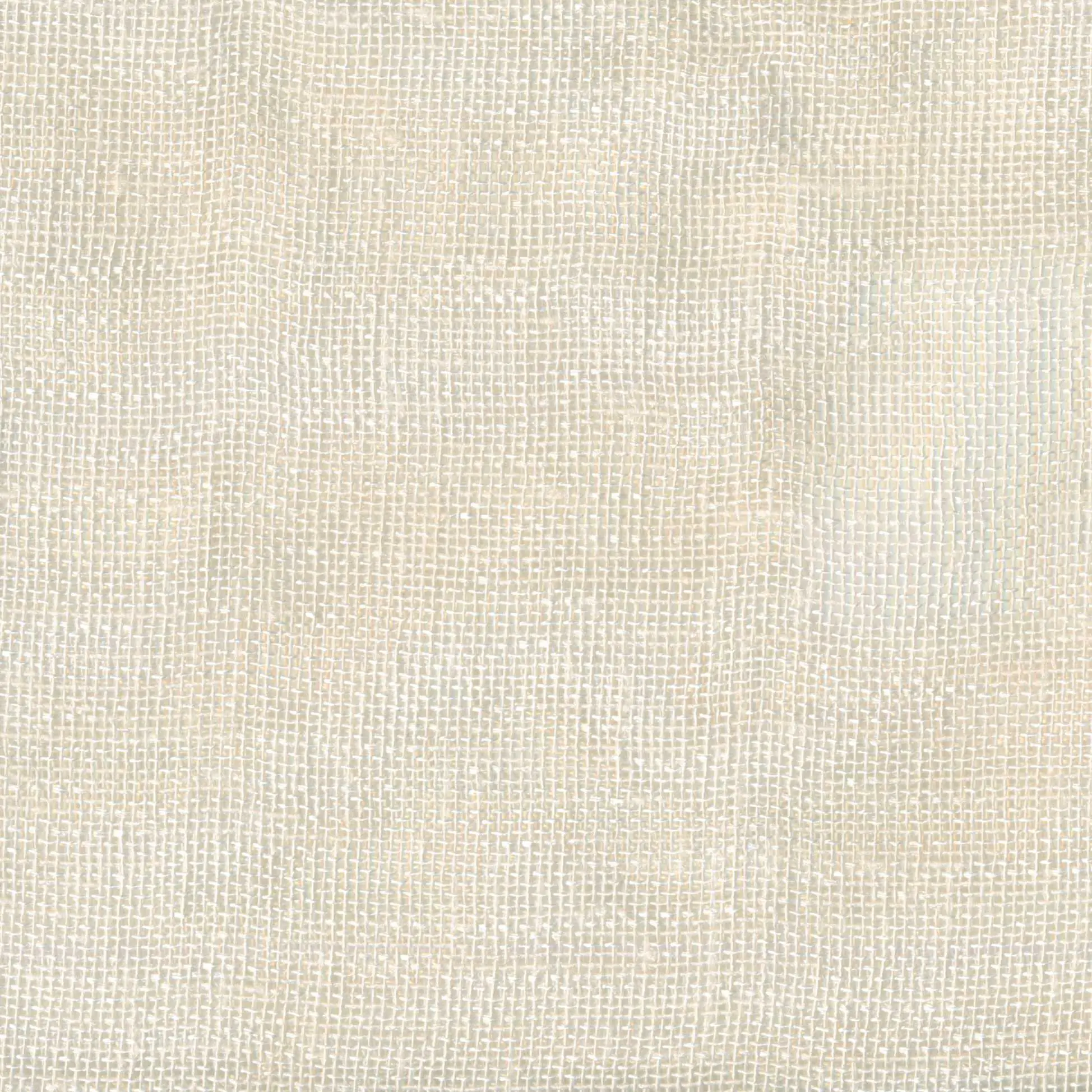 Ivory 201 | Puro