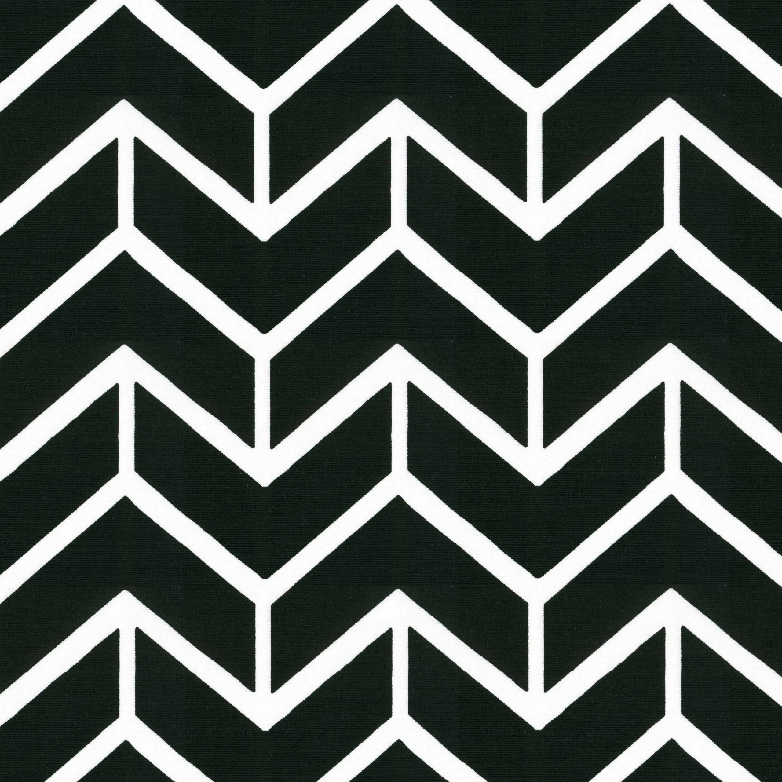 Black | Prints