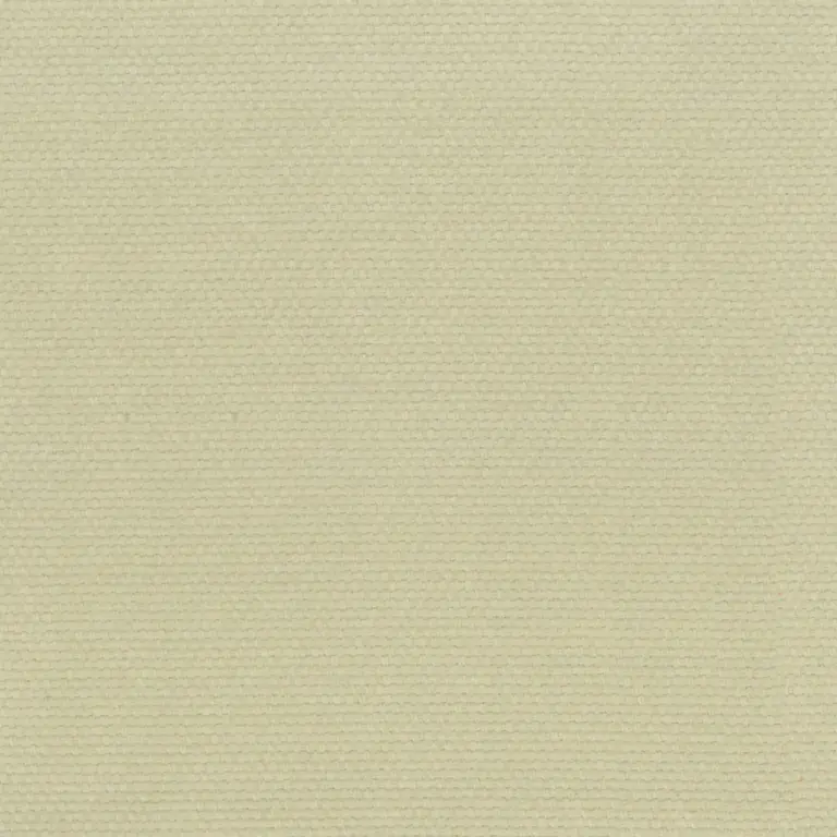 Seagrass 03