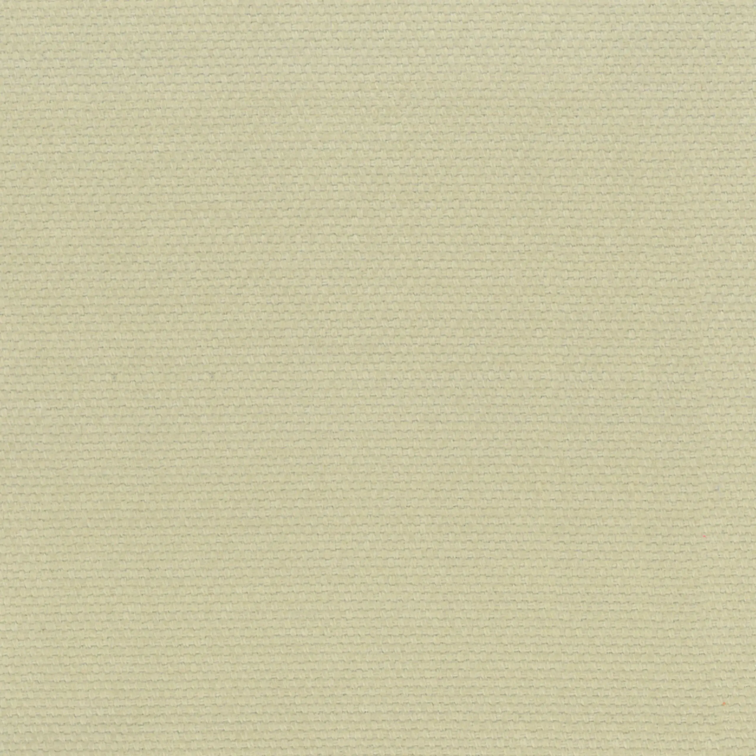 Seagrass 03 | Ringo