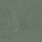 Palm 045 | Nestor